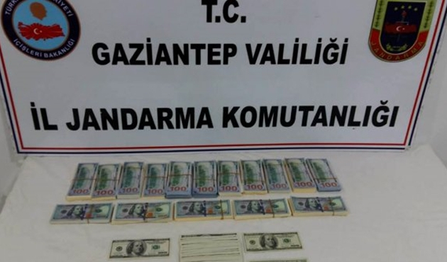 Gaziantep İslahiye'de sahte dolara 5 gözaltı