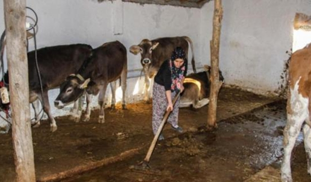 Belediyeden Mardinli ailelere tarım ve hayvancılık desteği