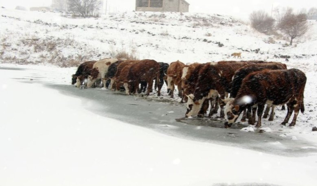 Ardahan'da Aktaş Gölü dondu!