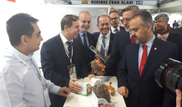 Bursa'da 'Kirpiş' kestaneler çocuklar için raflarda