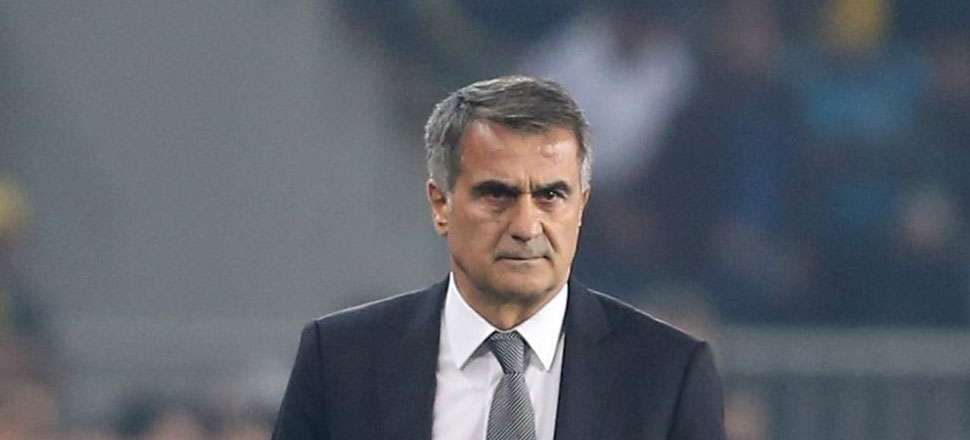 Şenol Güneş: Yıldırım Demirören ile görüştüm
