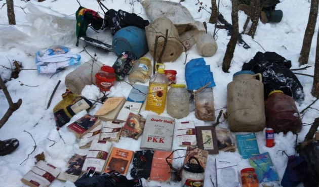 Bitlis’te terör operasyonu