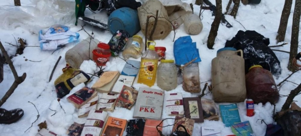 Bitlis’te terör operasyonu