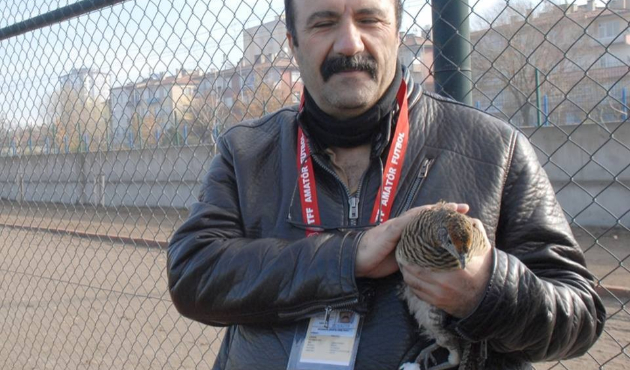 Kayseri'de davetsiz misafir sahaya kondu