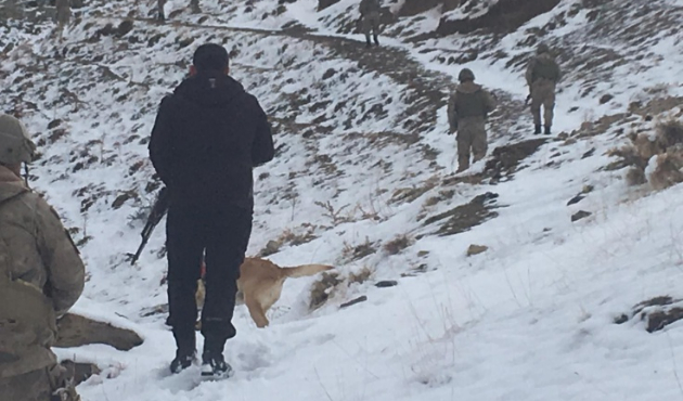 Van'da MİT ve Jandarma'dan ortak operasyon!