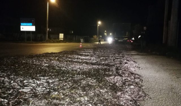 Bursa'da ulaşıma 'balık' engeli!