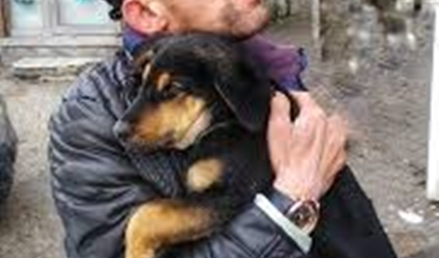 Tokat'ta engelli Ferhat’ın yavru köpek duyarlılığı