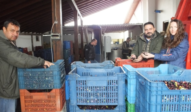 Balıkesir'de portakallı zeytinyağı ilgi görüyor