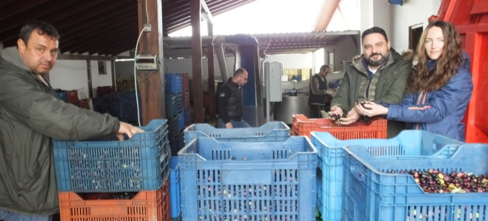 Balıkesir'de portakallı zeytinyağı ilgi görüyor
