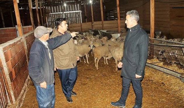 Bilecik Tarım ve Orman İl Müdürü Yoldaş’dan hayvancılık işletmesine ziyaret