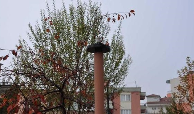 Manisa'da şehitlikteki aydınlatma lambalarını kırdılar