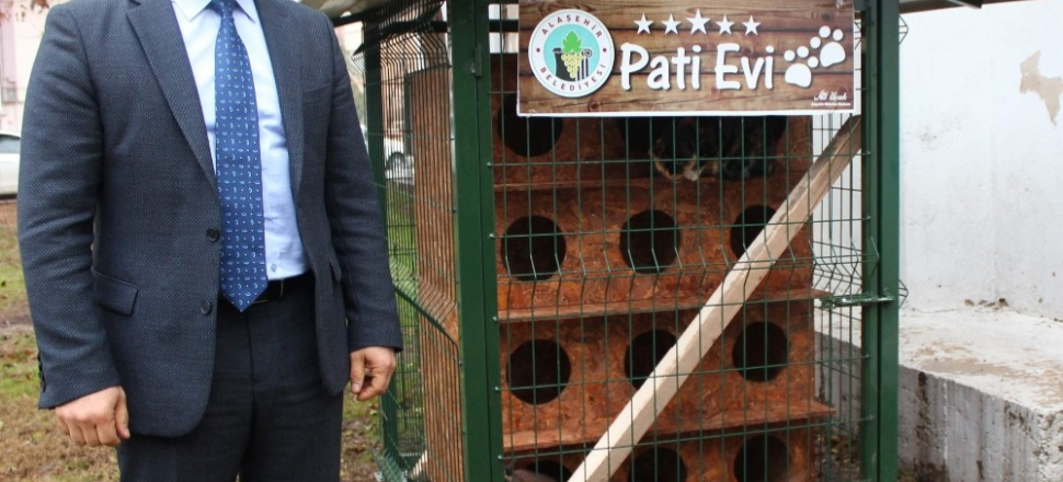 Manisa Alaşehir Belediyesinden kedilere "Pati Evi"