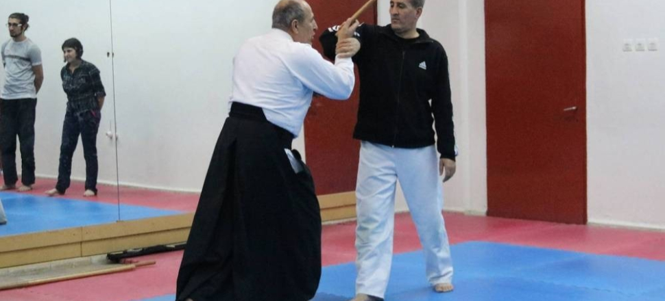 Malatya'da Aikido eğitimi devam ediyor