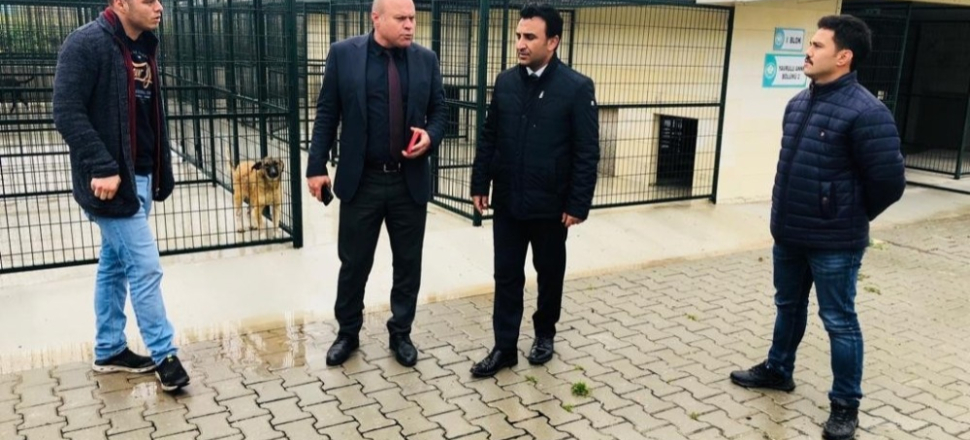 Manisa Akhisar’da 187 can yeni yuvasında
