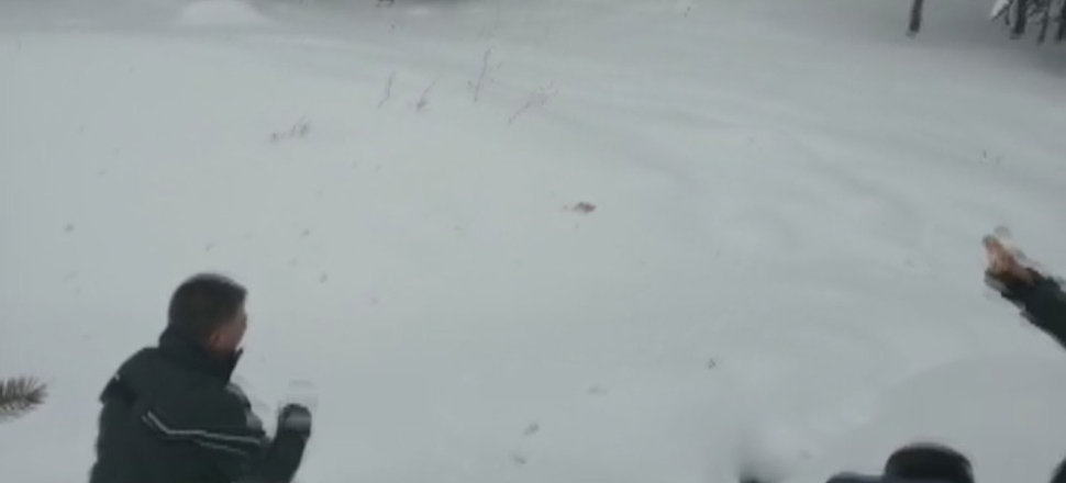 Kars Sarıkamış’ta doğaya yem bırakıldı