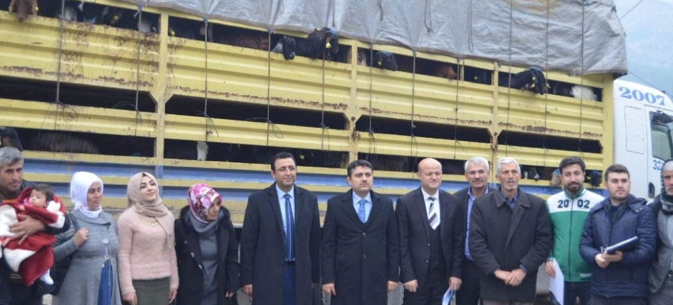 Siirtli genç çiftçilere 148 adet keçi dağıtıldı