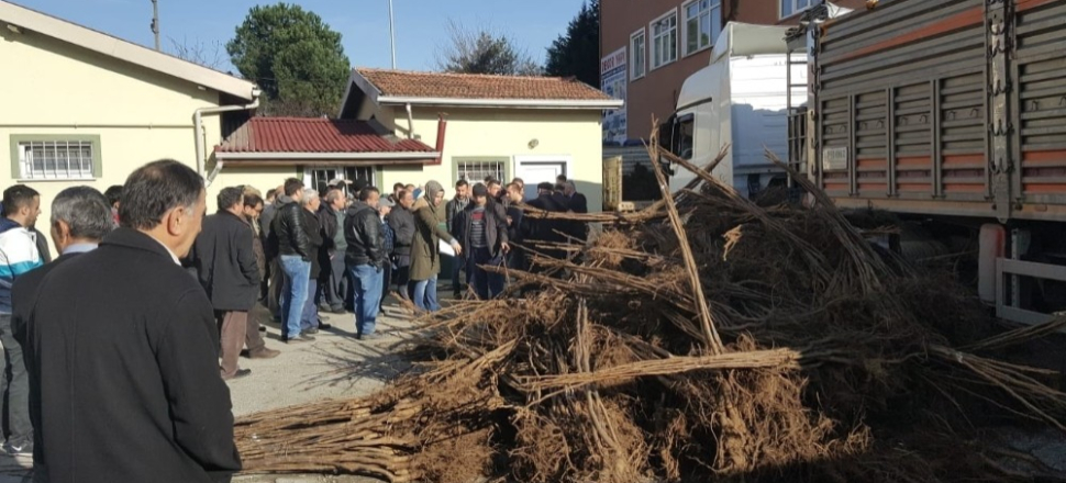 Zonguldak'ta çiftçilere 3 bin 400 adet ceviz fidanı dağıtıldı
