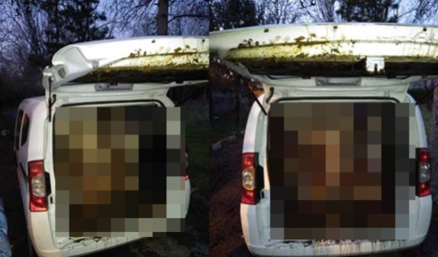 Bagajın içinden çıkanlar polisi şoke etti!
