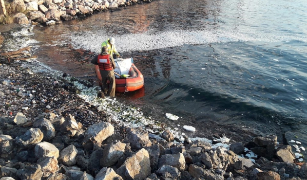 Kocaeli'nde denize palm yağı sızdı...