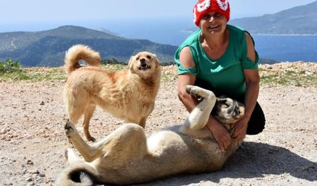 Antalya'da hayatlarını sokak hayvanlarına adadılar
