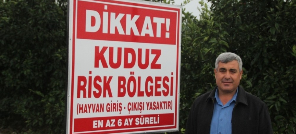 Hatay’da 2 mahallede kuduz karantinası