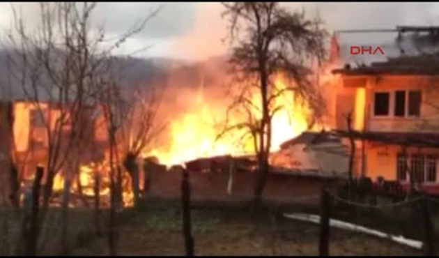 Bartın'da 2 katlı ev kül oldu