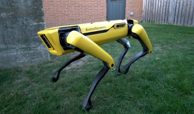 TSK yerli üretim "robot katır" istiyor!
