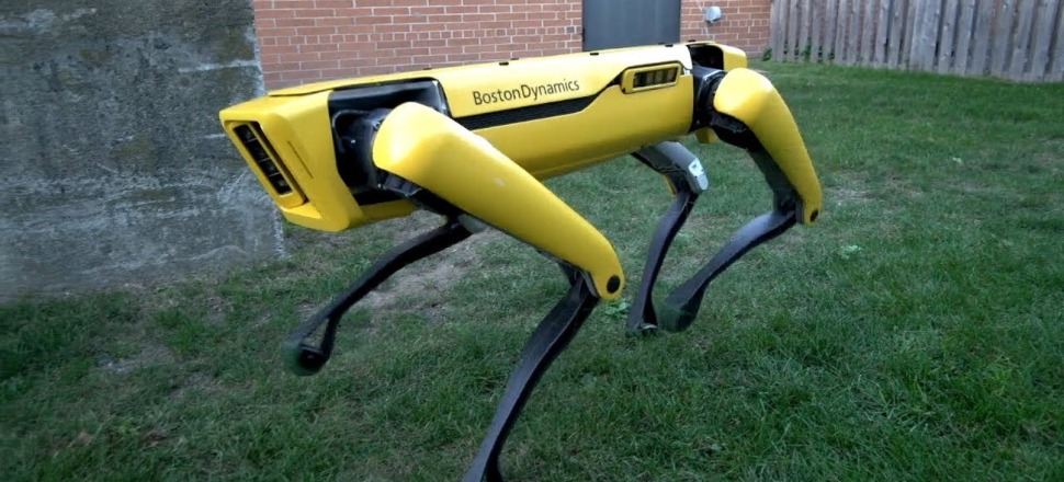 TSK yerli üretim "robot katır" istiyor!