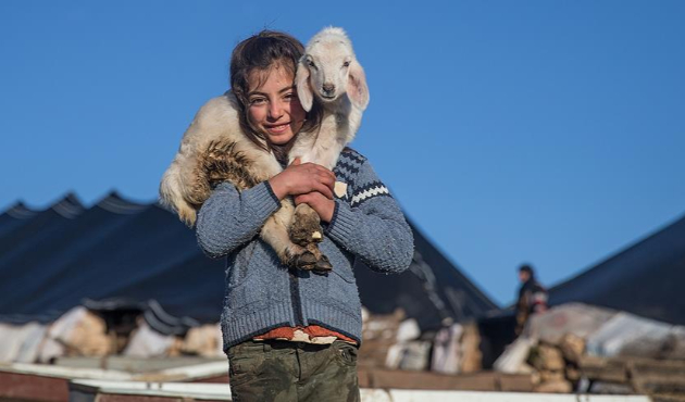 Şanlıurfa'da göçebe hayatların çadırda çetin kışı