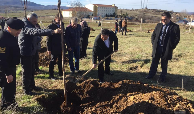 Bilecik Pazaryeri MYO bahçesine 150 fidan dikildi
