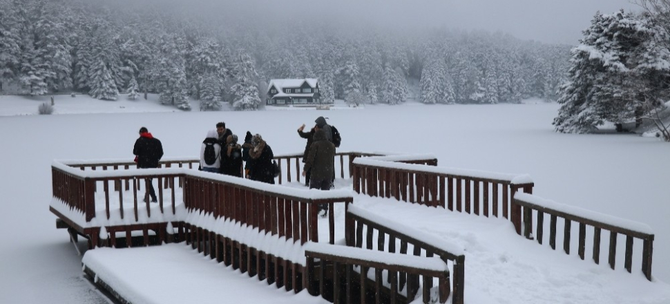 Bolu'da doğa harikası Gölcük Gölü buz tuttu