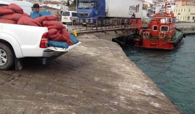 Çanakkale Gelibolu'da 2 ton kaçak kum midyesi ele geçirildi