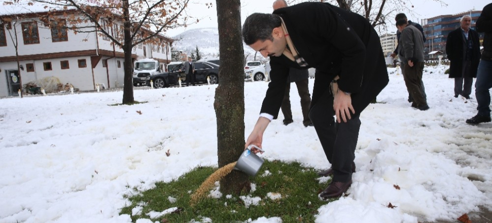 Tokat’ta sokak hayvanlarına yem bırakıldı
