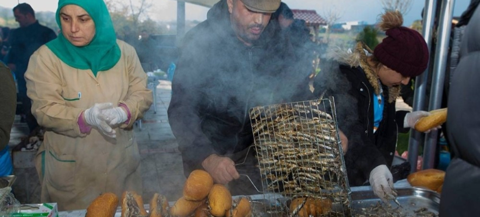 Düzce'de öğrenciler hamsi festivalinde bir araya geldi