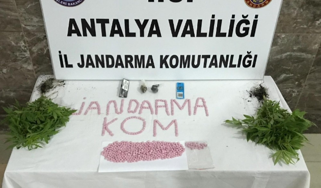 Antalya Alanya’da 738 adet uyuşturucu madde ele geçirildi