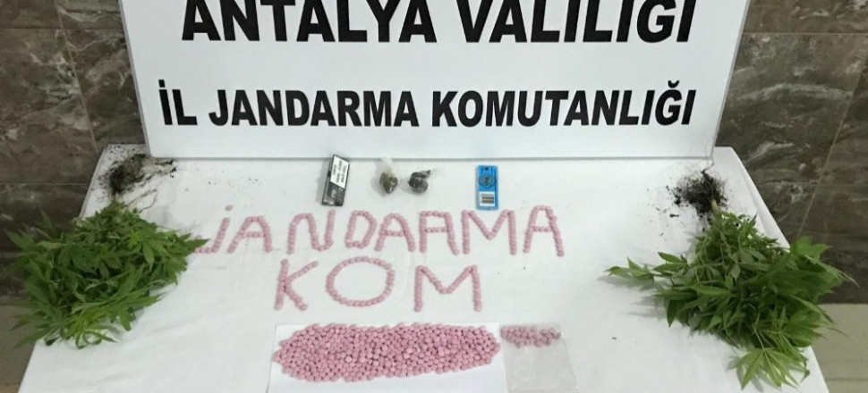 Antalya Alanya’da 738 adet uyuşturucu madde ele geçirildi