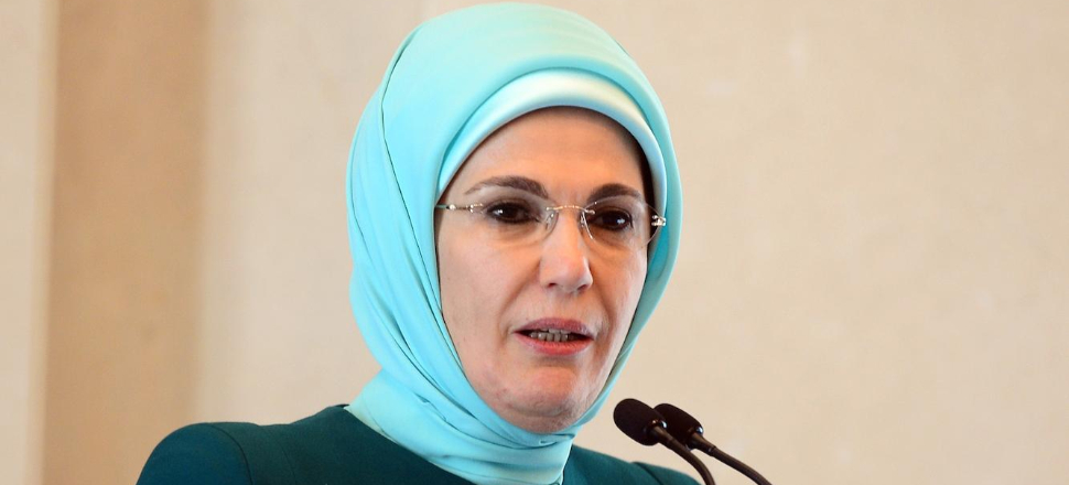 Emine Erdoğan'dan arılara sahip çıkan paylaşım!