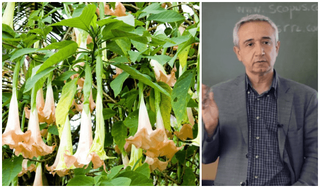 Fuhuş çetesi Türk profesörü 'zombi' ile öldürdü!
