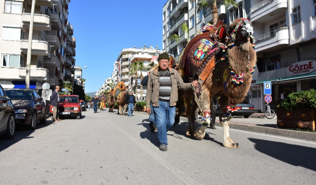Antalya Kumluca caddelerinde şampiyon develer yürüdü