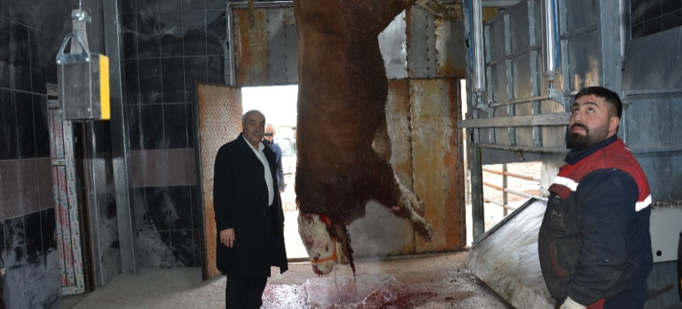 Erzincan Tercan'a modern kesimhane yapıldı