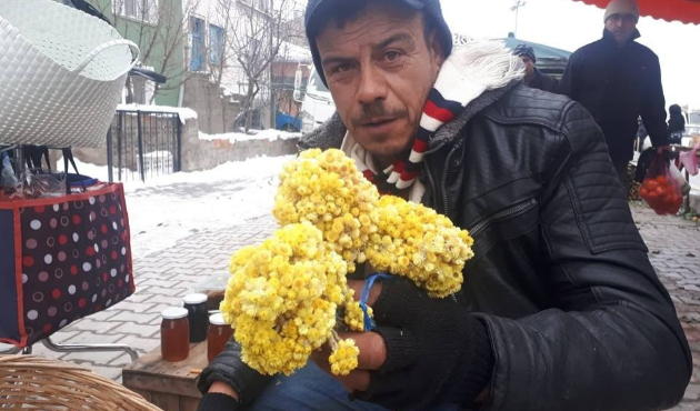 Kütahya'da sarı ot pazar tezgahlarına girdi