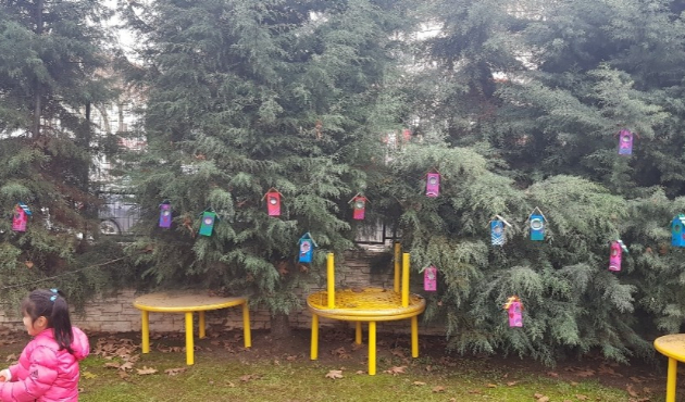 Düzce'de minik eller süt kutulardan kuşlar için yuva yaptılar.