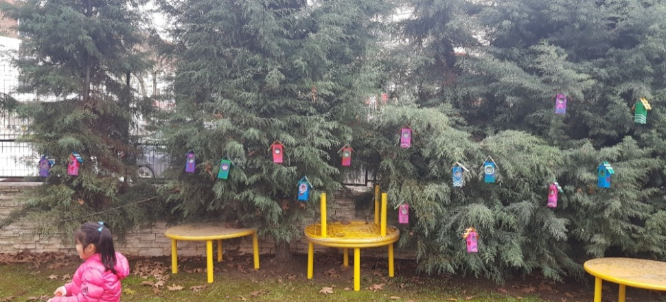 Düzce'de minik eller süt kutulardan kuşlar için yuva yaptılar.