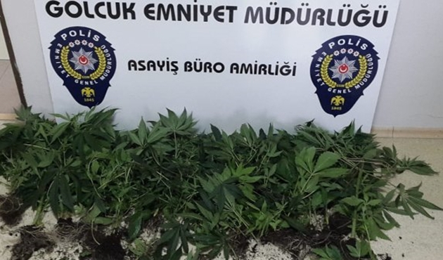 Kocaeli'de uyuşturucu için çatı katında özel düzenek