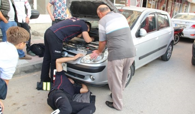 Manisa'da kedi kurtarma operasyonu