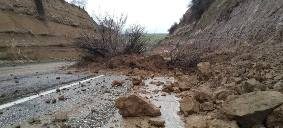 Adıyaman'da yola düşen ağaç sürücülere zor anlar yaşattı