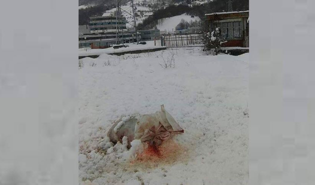 Srebrenitsa'daki anıt mezara çirkin saldırı...