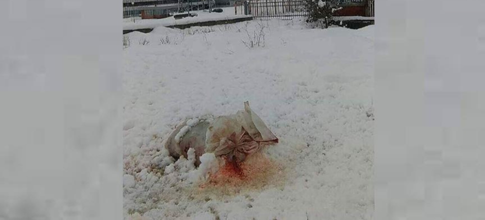 Srebrenitsa'daki anıt mezara çirkin saldırı...