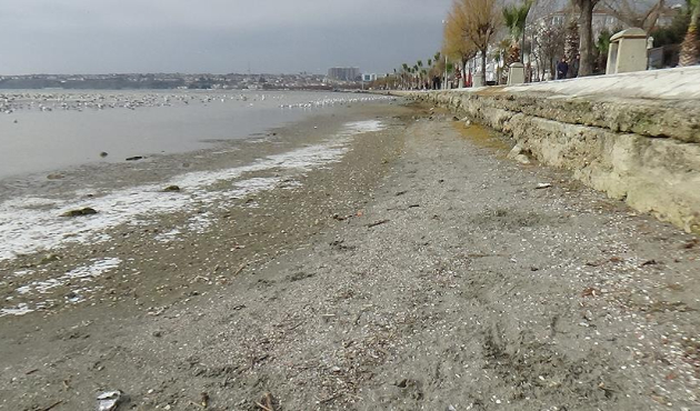 Silivri'de deniz 50 metre çekildi!