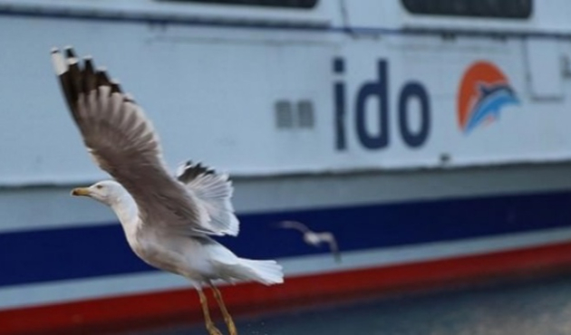 İDO ve BUDO'nun ardından vapurlar da iptal!